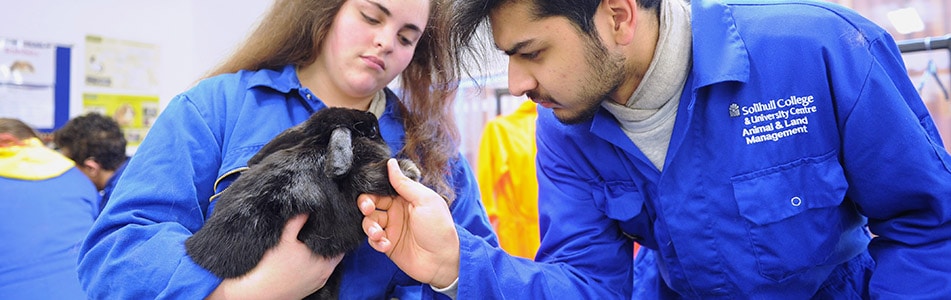 animal nursing holding rabbit paw